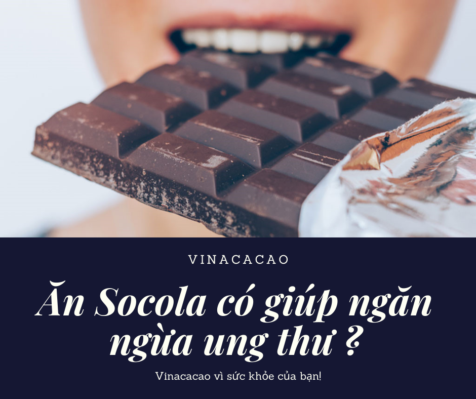 90828788_916975485420094_8283223577163988992_n