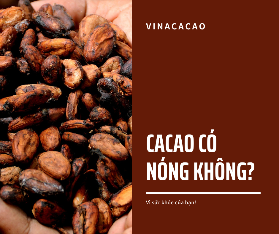 DOES DRINKING CACAO MAKE YOU HOT? Vietnamcacao